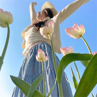荣誉团队